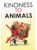 Kindness To Animals